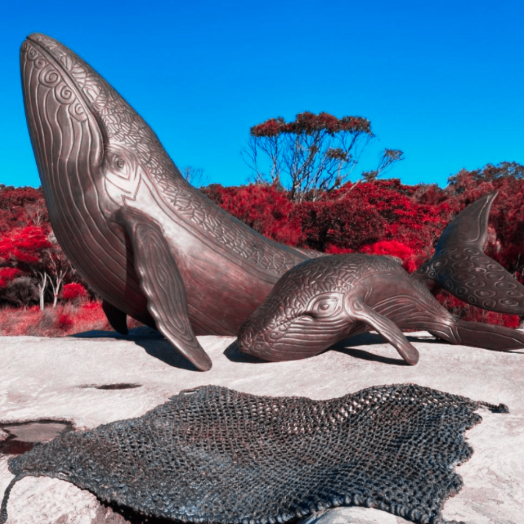 Two whales, as part of the Australia cook landing sculptures.