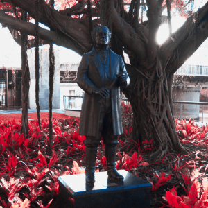 A statue of Robert Towns sits beside a tree.